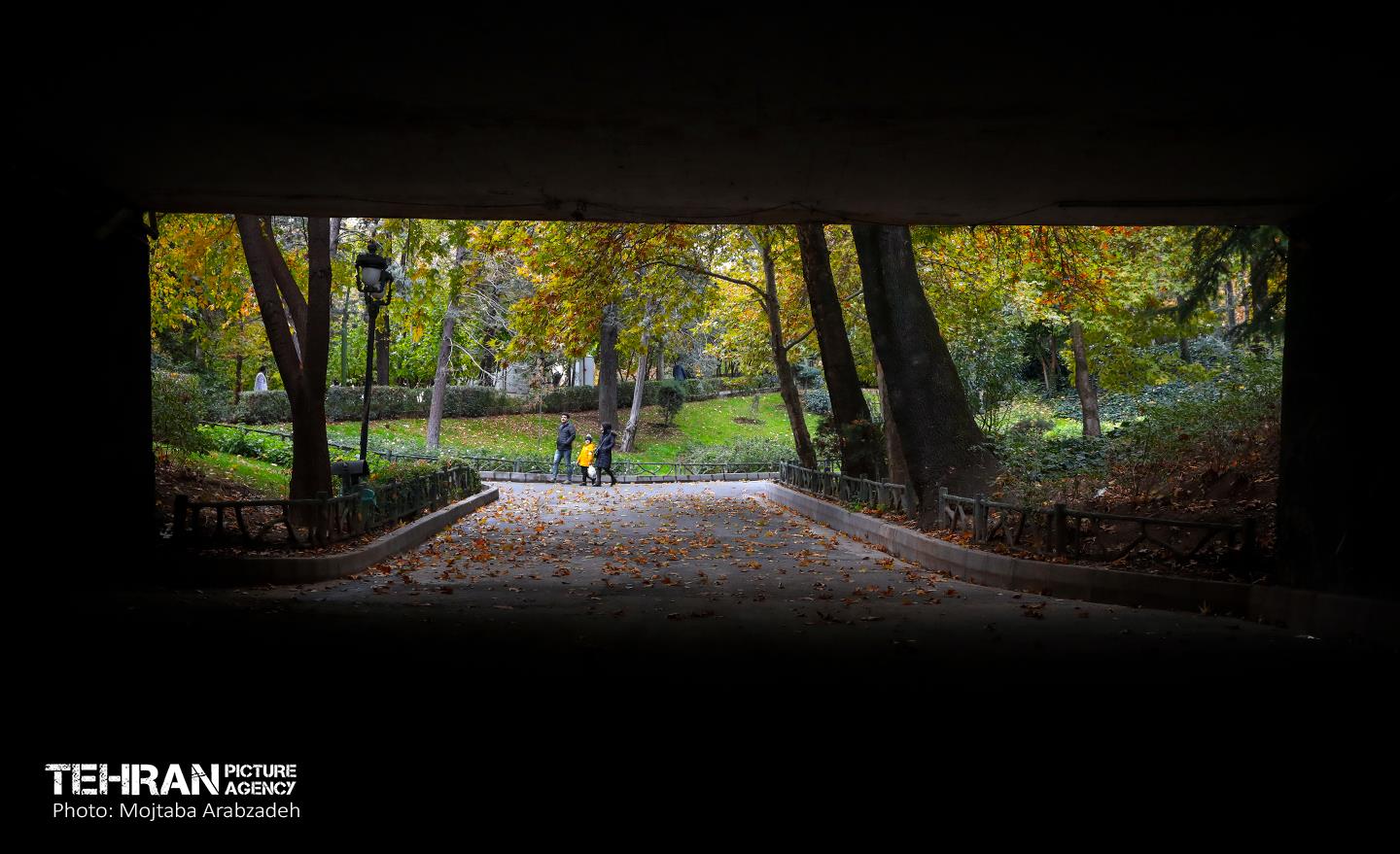 سمفونی رنگ های پاییزی - پارک ملت 13