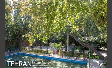 بوستان هورفر 16