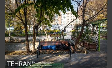 روزهای پاییزی کشاورز 4