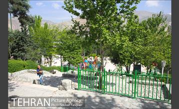 بوستان پرواز 18