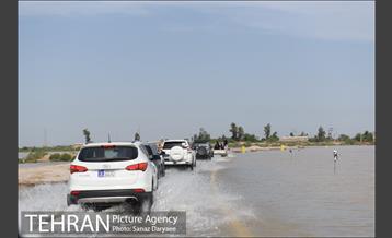 بازدید شهردار تهران از منطقه سیل زده پل قدرت آباد دشت آزادگان 3