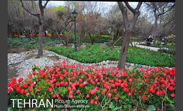 روش گل های لاله در باغ ایرانی 42