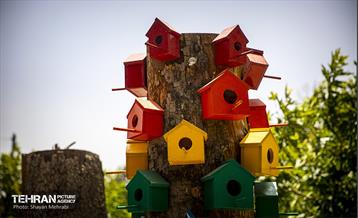 جان دوباره در درختستان 29