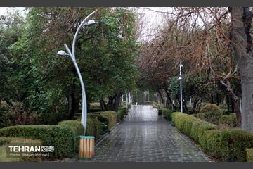 بارش باران زمستانی در تهران 13