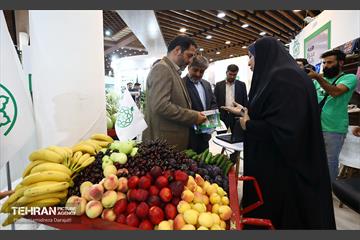 دومین روز از نمایشگاه «شهرهای خواهر خوانده و توانمندی مدیریت شهری تهران» 18