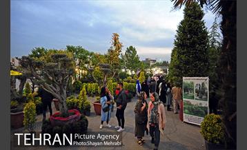 نمایشگاه گل و گیاه در بوستان گفتگو 4