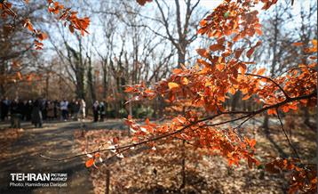 تور تهرانگردی ویـژه خانواده دیپلماتیک در منطقه 22