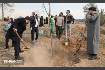 غرس ۲۷۸۲ نهال در سرخه‌حصار به یاد درگذشتگان جامعه پزشکی 11