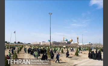 آیین کاشت "درخت ایثار" 38