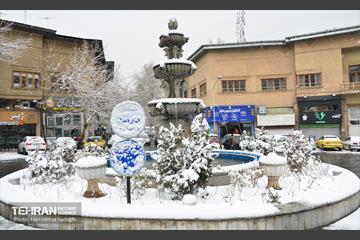 بارش برف زمستانی در منطقه 1 1