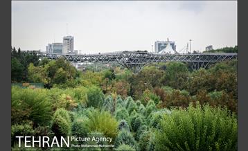بارش باران پاییزی در تهران 6