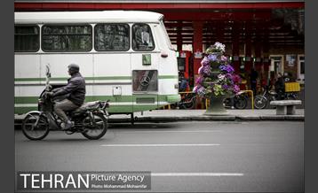 استقبال از بهار در خیابانهای تهران 4