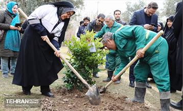 غرس ۱۱۰۰ نهال در منطقه ۱۱ 1