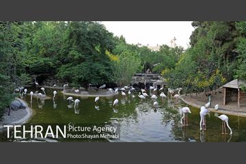باغ پرندگان تهران 1