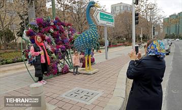 طرح استقبال از بهار 46