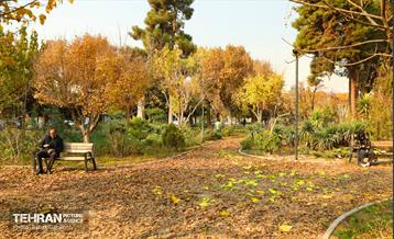 گذرگاه های پاییزی پایتخت - منطقه 13