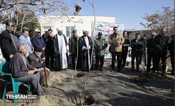 آیین کاشت 1310 نهال در منطقه 5 26