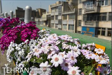 گل آرایی پل سیدخندان 28