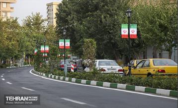 رفیوژ های همیشه سبز 7