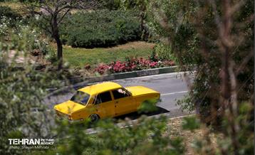 جشن تولد ۵۶ سالگی «پیکان» 4