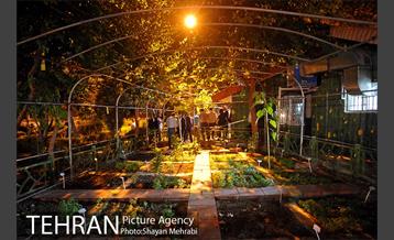 شبگردی اصحاب رسانه به میزبانی منطقه 9 39