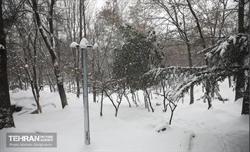 روز برفی تهران - 2 22