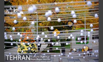 پاییز در بوستان ملت 3