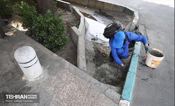 مبارزه با جانوران موذی 8