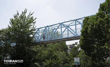 افتتاح پروژه‌های منطقه ۸ 13