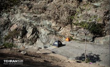 شهرنگار؛ درکه 31