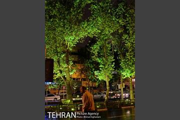 نورپردازی درختان بلوار میرداماد 7