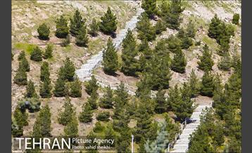 بوستان جنگلی کوهسار 13