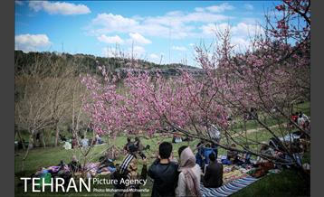 روز طبیعت در پارک آب و آتش 23