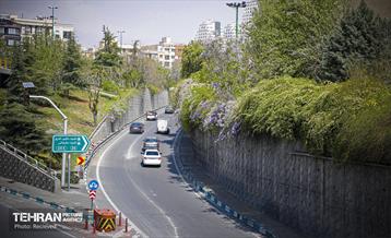 هوای بهاری منطقه 5 6