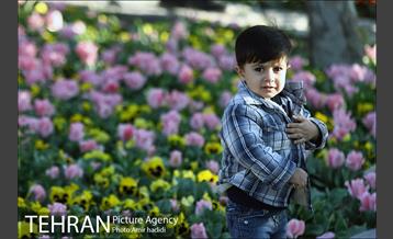 جشنواره لاله‌ها در بوستان زندگی محله هرندی 13
