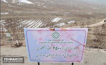 آیین روز درخت‌کاری و پایان پروژه کاشت ۲۵۰۰ هکتار کمربند سبز پایتخت  60