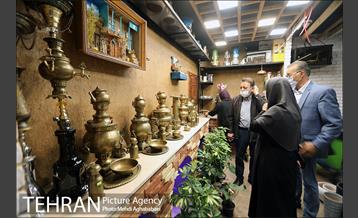 بازدید رییس سازمان بازرسی از  پروژه های منطقه هشت 13