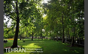 بوستان لاله 16