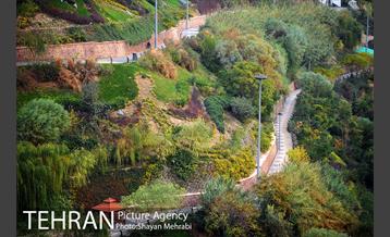 بوستان نهج البلاغه (فاز2) 27