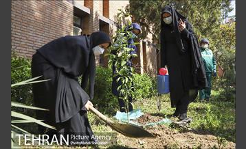 مراسم روز درختکاری در منطقه 7