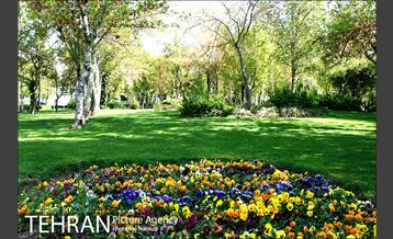 طبیعت بهاری بوستان پلیس  14