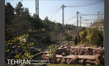 افتتاح پروژه های شهرداری منطقه ۴ 17