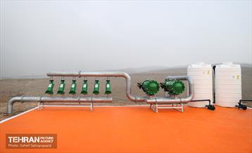 مراسم روز درختکاری 27