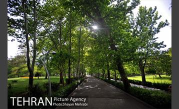 بوستان لاله 17