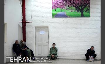 گرمخانه ها، دور از سرما 25