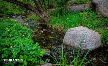 باغ گیاه‌شناسی 35