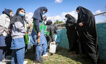 گرامیداشت سرو قامتان شهید سلامت در منطقه ۸