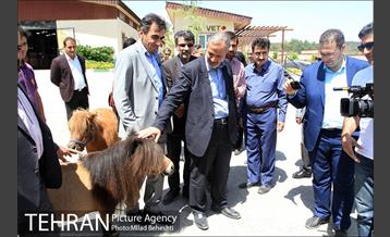 تهرانگردی احمد مسجدجامعی در منطقه 22‎ 21