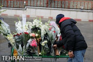 برانکو: آتش نشانان قهرمان هستند