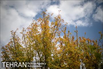 پاییز زیبای پایتخت- 3